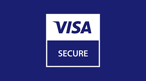 Visa secure logo
